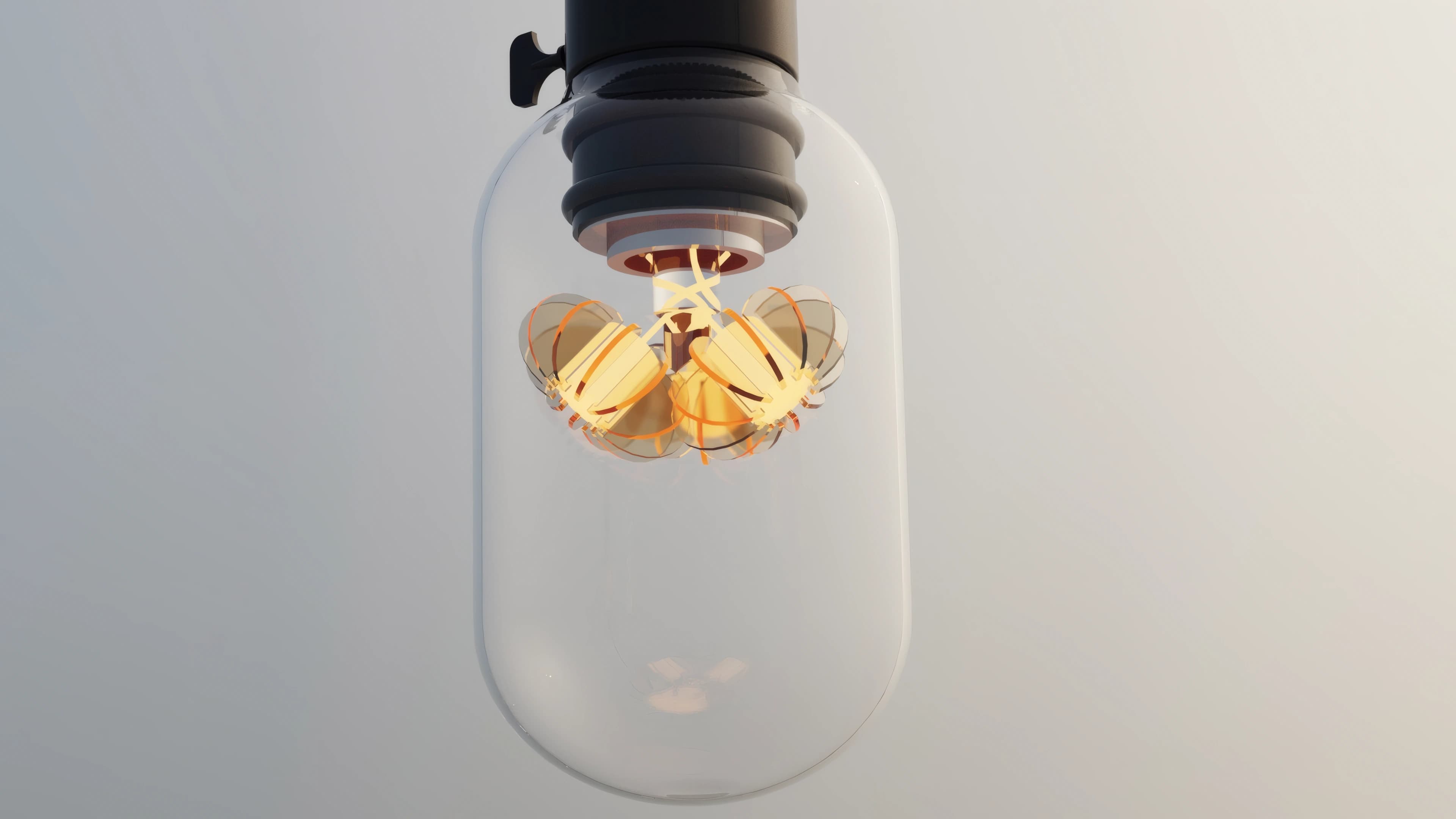 The complete glass bulb and black socket against a pale background